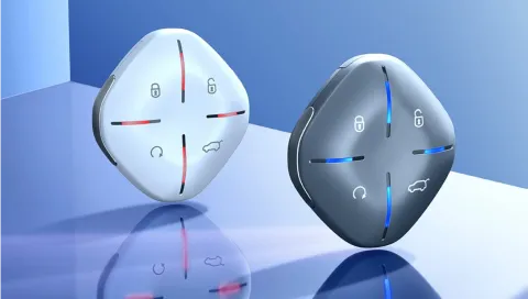 Smart Key Fob